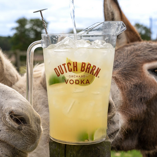 LAZY DONKEY