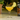 Apple-Tini
