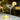 ORCHARD MARTINI