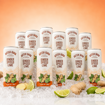 Dutch Barn Vodka Ginger Spiced Lime Canned Cocktail  (12 pack)