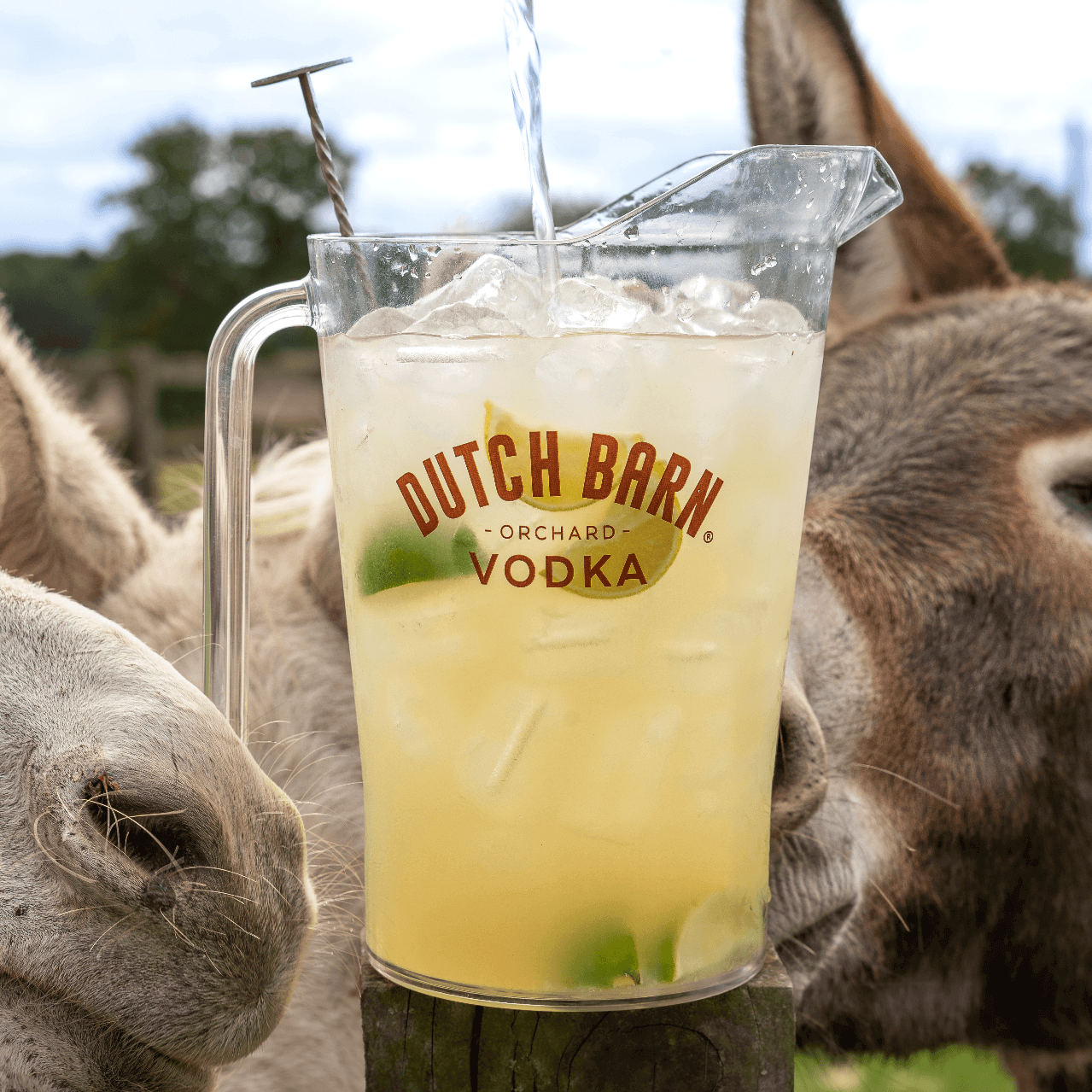 Dutch Barn Ricky Free Ricky Gervais Tickets – Dutch Barn Vodka